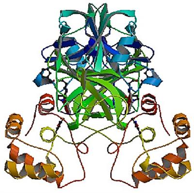 <mark class="highlighted">Molecular Docking Studies</mark> on the Anti-viral Effects of Compounds From Kabasura Kudineer on SARS-CoV-2 3CLpro